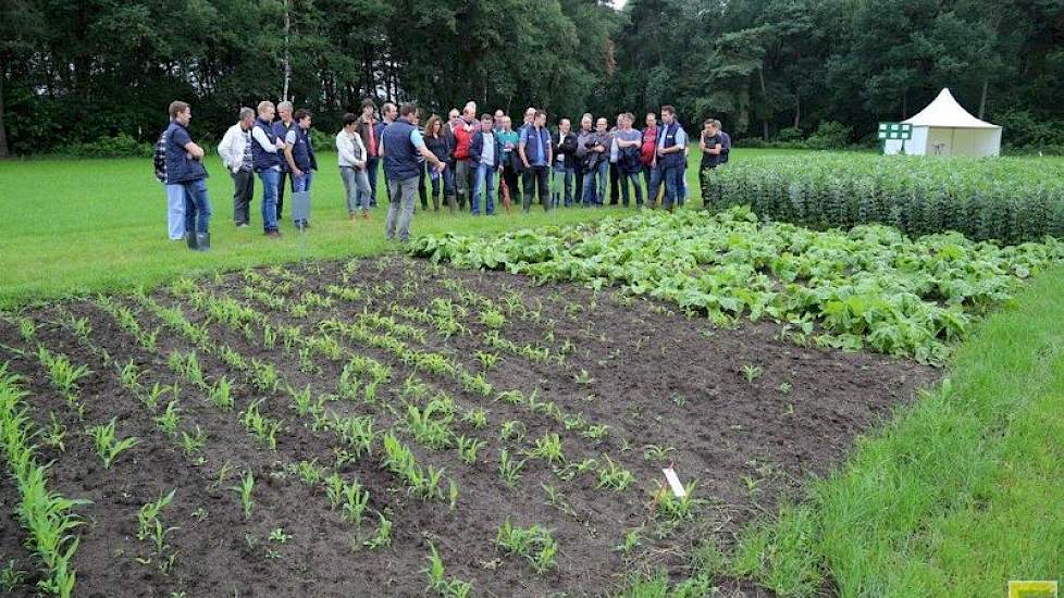 Jaar op jaar komen er andere gewassen dan gras en maïs in beeld op de open dagen van De Marke. Nog steeds is gras en mais de hoofdmoot. Maar de teelt van maïs staat door overheidsbeleid onder druk, ten koste van een derde gewas. Onder te verdelen in eiwit