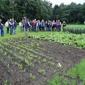 Jaar op jaar komen er andere gewassen dan gras en maïs in beeld op de open dagen van De Marke. Nog steeds is gras en mais de hoofdmoot. Maar de teelt van maïs staat door overheidsbeleid onder druk, ten koste van een derde gewas. Onder te verdelen in eiwit