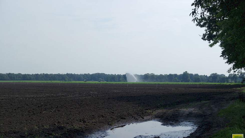 Ondanks de wateroverlast wordt er alweer volop beregend in de Belgische grensstreek op de droogtegevoelige zandgrond.