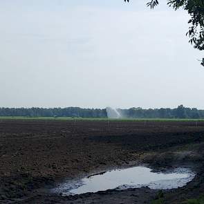 Ondanks de wateroverlast wordt er alweer volop beregend in de Belgische grensstreek op de droogtegevoelige zandgrond.