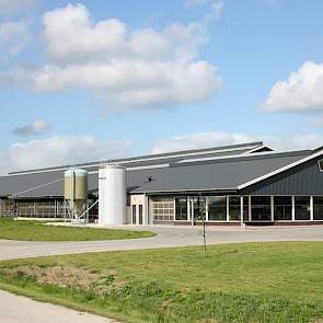 De maatschap Zeinstra - Miedema in Lelystad (Fl.)melkt een jaar in de nieuwe stal voor 300 koeien. Dat gebeurt met een 50 stands BouMatic buitenmelker.De koeien lopen op een Swaans G2 vloer met sproei-installatie. Deze keuze is gebaseerd op een rondgang l