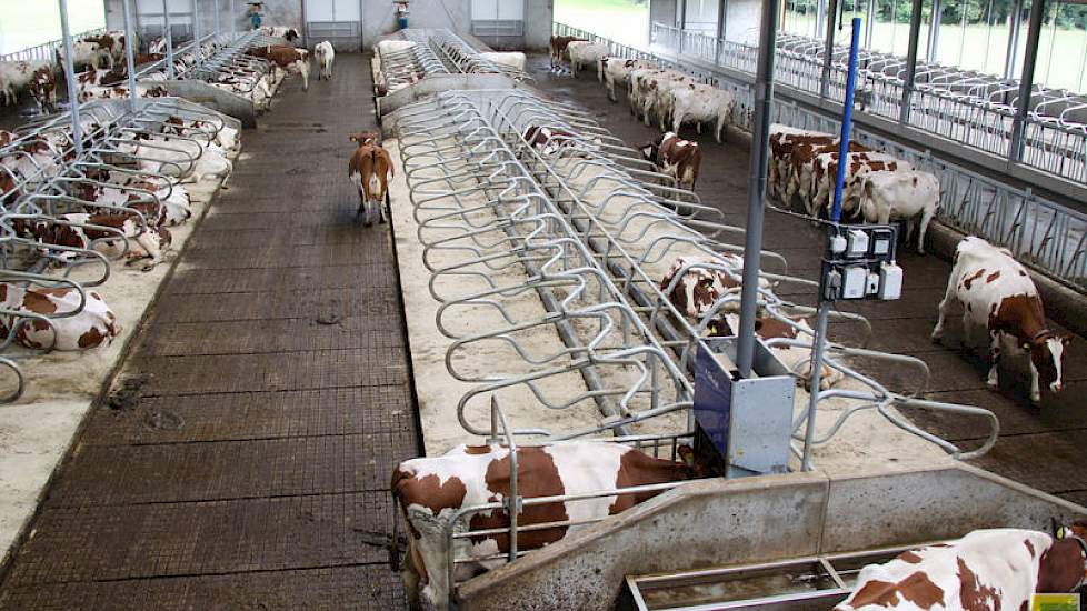 De nieuwe ligboxenstal in Oxe, tussen Bathmen, Deventer en Dorth is een behoorlijke blikvanger. Mensen maken foto’s vanaf de weg. De stal van Geertjan Kloosterboer en zijn familie kan naast 35 droge, op termijn ook 135 melkkoeien huisvesten.