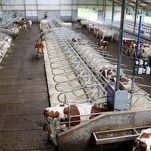 De nieuwe ligboxenstal in Oxe, tussen Bathmen, Deventer en Dorth is een behoorlijke blikvanger. Mensen maken foto’s vanaf de weg. De stal van Geertjan Kloosterboer en zijn familie kan naast 35 droge, op termijn ook 135 melkkoeien huisvesten.