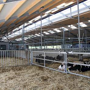 Behoorlijk wat automatisering en handige looplijnen zijn belangrijke kenmerken van de nieuwe stal bij Arjan en Sjaak Weijers in Giesbeek bij Arnhem. Zij bouwden een 3+3 ligboxenstal voor 280 stuks melkvee.