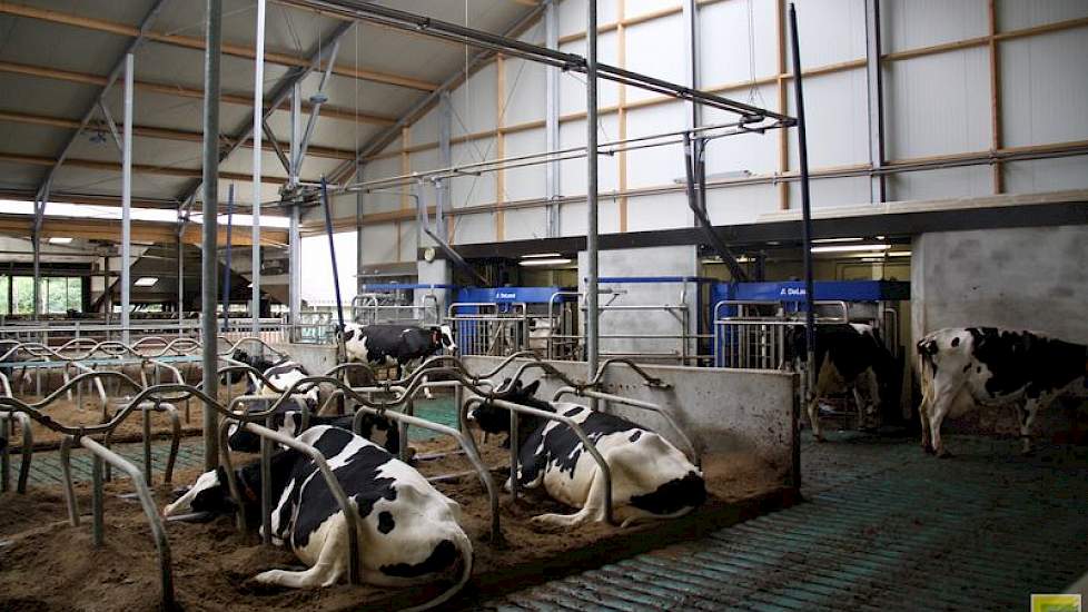 Dankelman koos voor uitbreiding aan de bestaande stal. De nieuwe stal is volgens de Maatlat Duurzame Veehouderij gebouwd.