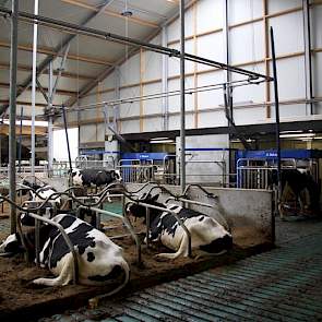 Dankelman koos voor uitbreiding aan de bestaande stal. De nieuwe stal is volgens de Maatlat Duurzame Veehouderij gebouwd.