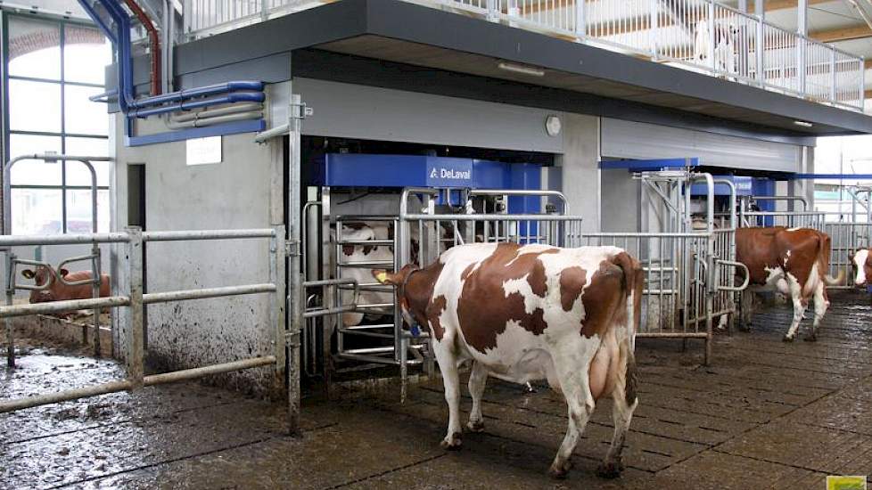 Gewend aan melkrobots was de familie Kloosterboer al bijna 10 jaar, zo ook het melkvee. In de stal en op het bedrijf ontvangt de familie schoolklassen, tot nog toe met name de middenbouw van de basisscholen. Een trap, een gang en een groot balkon boven de