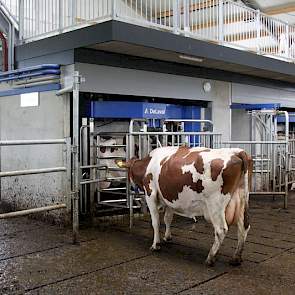 Gewend aan melkrobots was de familie Kloosterboer al bijna 10 jaar, zo ook het melkvee. In de stal en op het bedrijf ontvangt de familie schoolklassen, tot nog toe met name de middenbouw van de basisscholen. Een trap, een gang en een groot balkon boven de