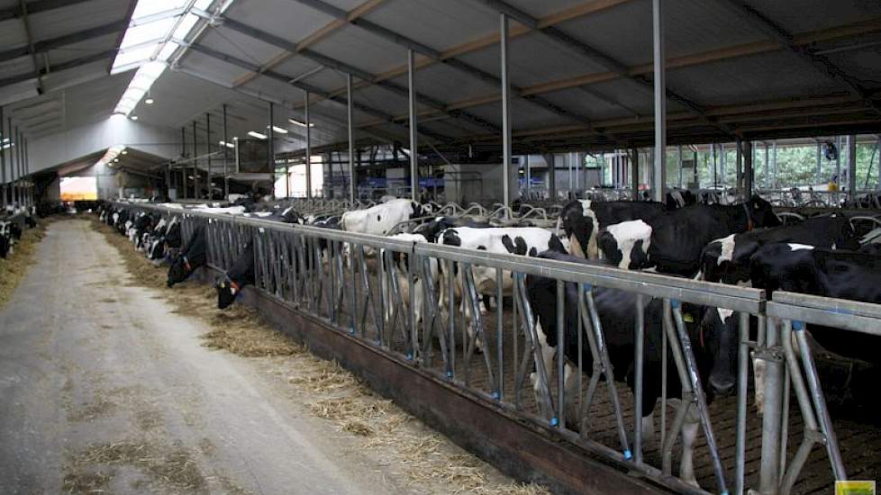 Een nieuw gebouwde ligboxenstal vast aan de oude, verrees vorig jaar in Arriën tussen Ommen en Hardenberg. Melkveehouder Albert Dankelman heeft vanaf november reeds vier nieuwe melkrobots in gebruik.