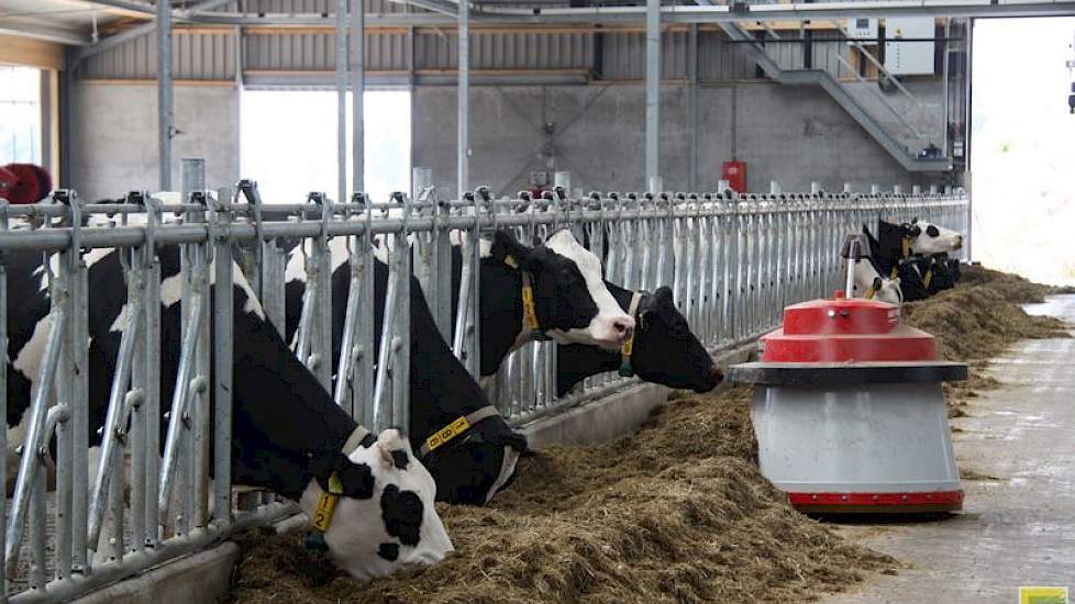 De stal is voorzien van mestrobots, een voeraanschuiver en een automatisch instrooisysteem voor biobedding; mest van eigen koeien die nog bijna dezelfde dag vanuit een mestscheider achter in de stal via de instrooier in de boxen belandt.