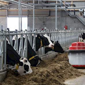 De stal is voorzien van mestrobots, een voeraanschuiver en een automatisch instrooisysteem voor biobedding; mest van eigen koeien die nog bijna dezelfde dag vanuit een mestscheider achter in de stal via de instrooier in de boxen belandt.