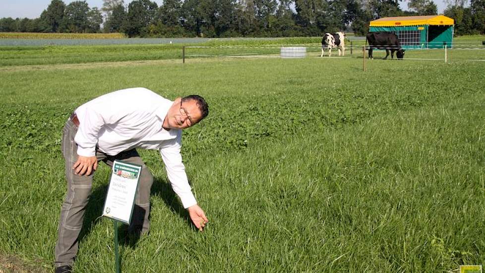 Agrifirm coördinator Toine Heijmans: 'Meer voer van eigen land.'