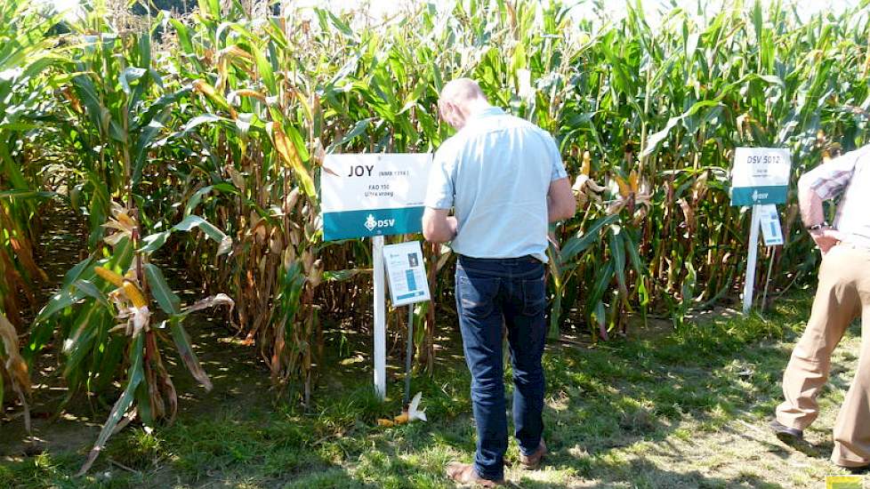 Specifiek aandacht kreeg het extreem vroege ras Joy, met een FAO van 150. Deckers geeft aan dat er een nieuwe benadering van maïsteelt aan het ontstaan is, waarbij maïs onderdeel van het bouwplan wordt. Eerst een paar snedes gras oogsten, of juist na het