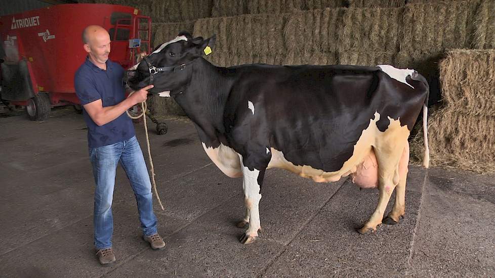 Willemien 112 wint De Beste Boerenkoe - www.melkvee.nl