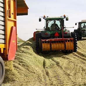 Het drogestofgehalte, dat de hakselaar registreert, fluctueert per perceel tussen 32 (afgelopen zaterdag) en woensdag 34 en 36 procent. Luesink zegt dat hij altijd stalmest op de percelen brengt, en dat de organische stof de mais goed doet.