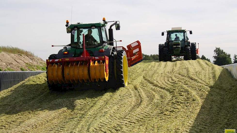 In totaal gaat het om 44 hectare mais voor de op het moment 450 melkkoeien van Luesink in het Achterhoekse Halle. Lomans medewerker Henk Radstake is een van de mannen die heen en weer rijdt; hij heeft het over héél beste mais.