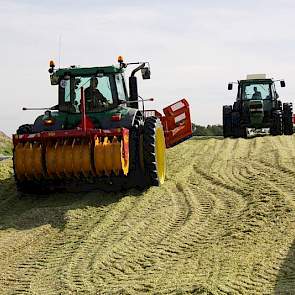 In totaal gaat het om 44 hectare mais voor de op het moment 450 melkkoeien van Luesink in het Achterhoekse Halle. Lomans medewerker Henk Radstake is een van de mannen die heen en weer rijdt; hij heeft het over héél beste mais.