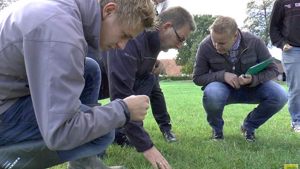 Ten Dam doet er alles aan om een zo smakelijk mogelijke kuil te krijgen. Daarom probeert hij verontreiniging te voorkomen. In de winter actief mollen bestrijden en een minimale maaihoogte van 7 centimeter is daarbij volgens hem van cruciaal belang.