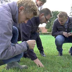 Ten Dam doet er alles aan om een zo smakelijk mogelijke kuil te krijgen. Daarom probeert hij verontreiniging te voorkomen. In de winter actief mollen bestrijden en een minimale maaihoogte van 7 centimeter is daarbij volgens hem van cruciaal belang.