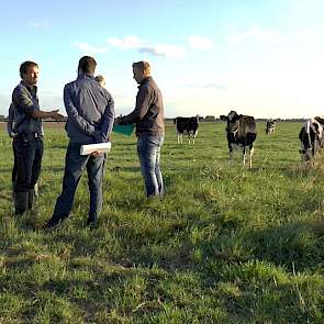 Van Noord wist in een aantal jaren tijd de productie van zijn grasland te verhogen van 8 naar 12 ton drogestof. Hiervoor nam hij verschillende maatregelen, waarbij het toevoegen van 1 deel water op 2 delen mest wel de opvallendste is.