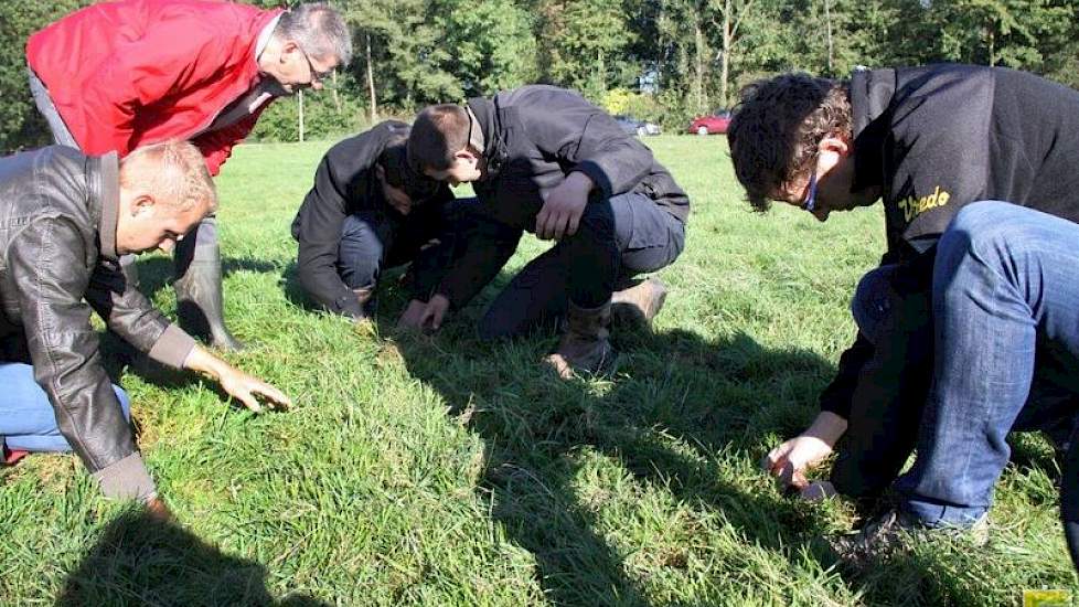 Op de strook die door de 3 meter brede APV van Voskuilen met grote snelheid werd bewerkt, liggen nog de resten losgetrokken gras van eind augustus. De wiedeg heeft dus uitstekend werk afgeleverd. Hoe je Engels raaigras verder nog kan kietelen is de vraag.