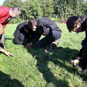 Op de strook die door de 3 meter brede APV van Voskuilen met grote snelheid werd bewerkt, liggen nog de resten losgetrokken gras van eind augustus. De wiedeg heeft dus uitstekend werk afgeleverd. Hoe je Engels raaigras verder nog kan kietelen is de vraag.