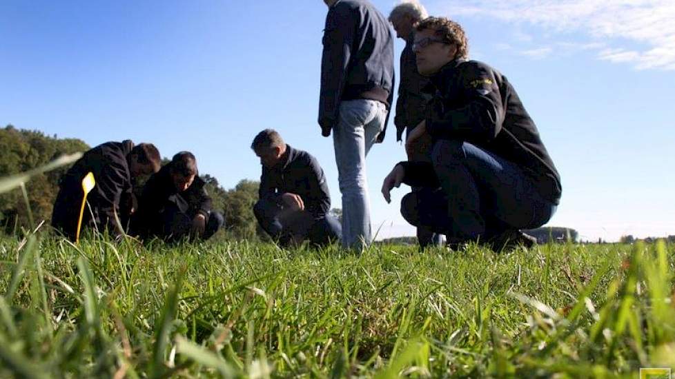 “Doorzaaien moet een geplande actie zijn”, drukt de Leeuw zijn toehoorders op het hart. “Eerst goed maaien en het groeipunt hierbij net behouden, is belangrijk alvorens ook maar aan doorzaaien te denken. En dan nog kan bijvoorbeeld bekalken een betere opl