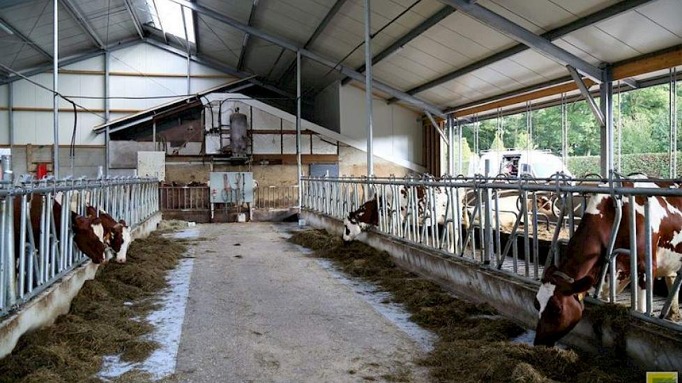 Bij de uitbreiding is gekozen voor maximaal koecomfort; ruime looppaden, diepstrooiselboxen, een groot strohok en goede ventilatie. Om kosten te besparen zijn tweedehands roosters geplaatst. De ligplaatsen zijn verlengd, niet breder gemaakt.