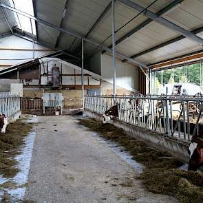 Bij de uitbreiding is gekozen voor maximaal koecomfort; ruime looppaden, diepstrooiselboxen, een groot strohok en goede ventilatie. Om kosten te besparen zijn tweedehands roosters geplaatst. De ligplaatsen zijn verlengd, niet breder gemaakt.