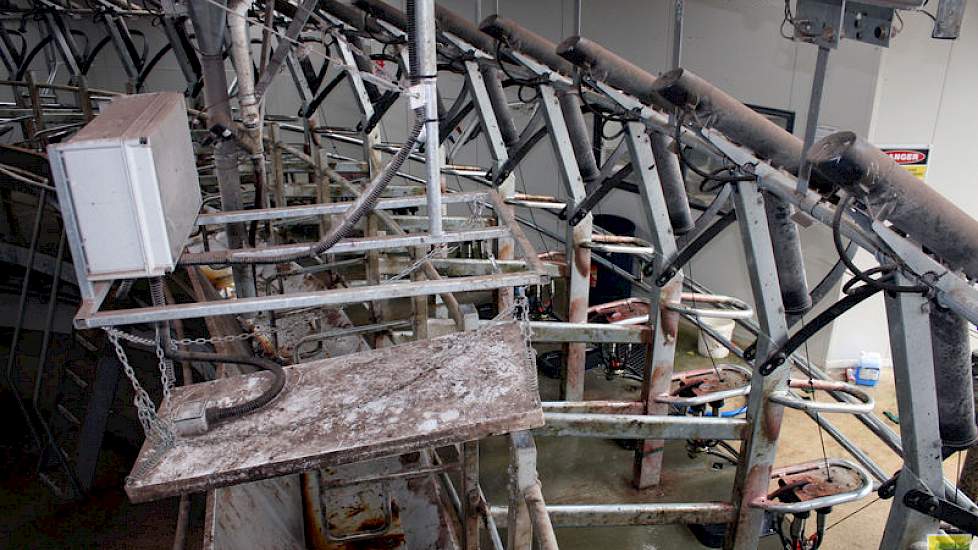 In de melkstal krijgen de Woldwide koeien graan en melasse bijgevoerd. De gemiddelde productie per koe is ongeveer 6700 liter. Dit is boven gemiddeld voor Nieuw Zeeland. De melkstallen zijn uitgerust met koeherkenning. De transmitter herkent de koe door e