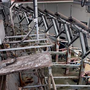 In de melkstal krijgen de Woldwide koeien graan en melasse bijgevoerd. De gemiddelde productie per koe is ongeveer 6700 liter. Dit is boven gemiddeld voor Nieuw Zeeland. De melkstallen zijn uitgerust met koeherkenning. De transmitter herkent de koe door e