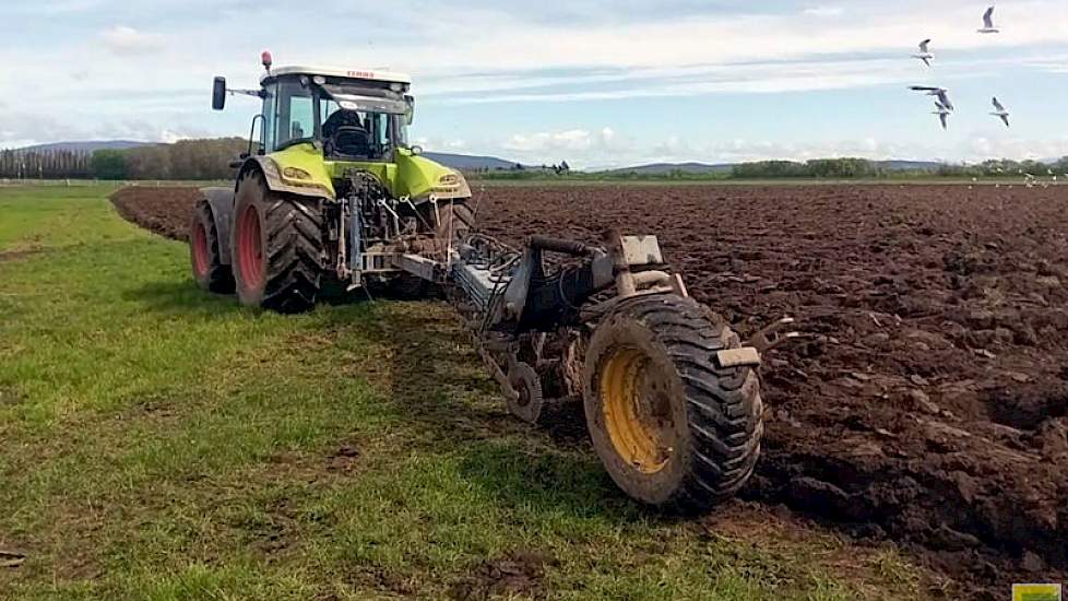 De percelen die gebruikt zijn voor winter gewassen moeten bewerkt worden en ingezaaid met een volggewas of met gras.