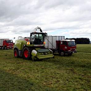 Begin oktober wordt het eerste kuilvoer weer geoogst.