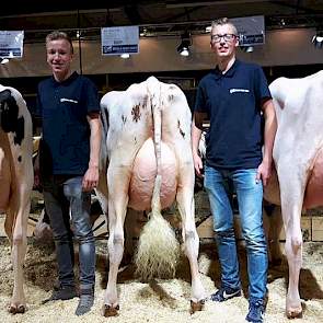 WWS presenteerde een drietal dochters van Gen-I-Beq Aikman (Snowman x Baxter). Drie uitstekend geuierde dieren, waarvan één wat robuuster en twee wat meer naar het showtype neigden. De dieren mochten iets sterker in de bovenbouw.