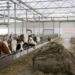 Van der Kroon voert de koeien (vrijwel) alleen gras. Bij een deel van dat gras is een kruidenmengsel ingezaaid. Goed voor de weidevogels en voor de gezondheid van de koe, volgens Joost van der Kroon.