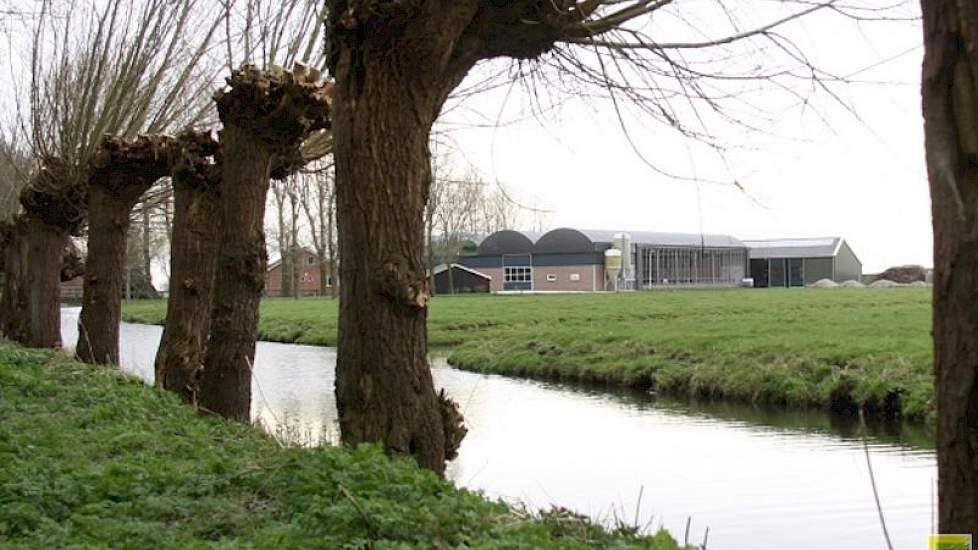 Het land rondom het bedrijf is erg nat. Van der Kroon boert in een 'calamiteitenpolder', vlakbij Amsterdam. In geval van nood, loopt deze polder onder water. Het huis en de stal blijven in dat geval alsnog droog.