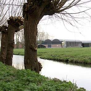 Het land rondom het bedrijf is erg nat. Van der Kroon boert in een 'calamiteitenpolder', vlakbij Amsterdam. In geval van nood, loopt deze polder onder water. Het huis en de stal blijven in dat geval alsnog droog.