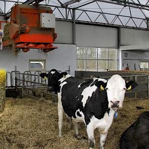 Zowel de droge koeien als de melkkoeien hebben de beschikking over een koeborstel.