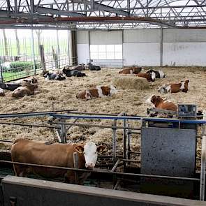 Via een selectiepoort kunnen de koeien het stro in. Koeien die te lang niet gemolken zijn, komen dan in de wachtruimte van de robot. In het midden van het strohok staat een 'knuffelbaal', waaraan de koeien zich kunnen schuren. Er wordt - ondanks de aanwez