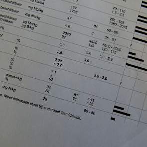 Ook het kengetal CEC komt ter sprake. Reijneveld geeft aan dat je het kunt vergelijken met een voorraadkast. „Bij de ene bodem is die groter dan de andere. De CEC-bezetting geeft aan hoe ver de ‘voorraadkast’ is gevuld.” Ook meldt de analyse hoe de versch