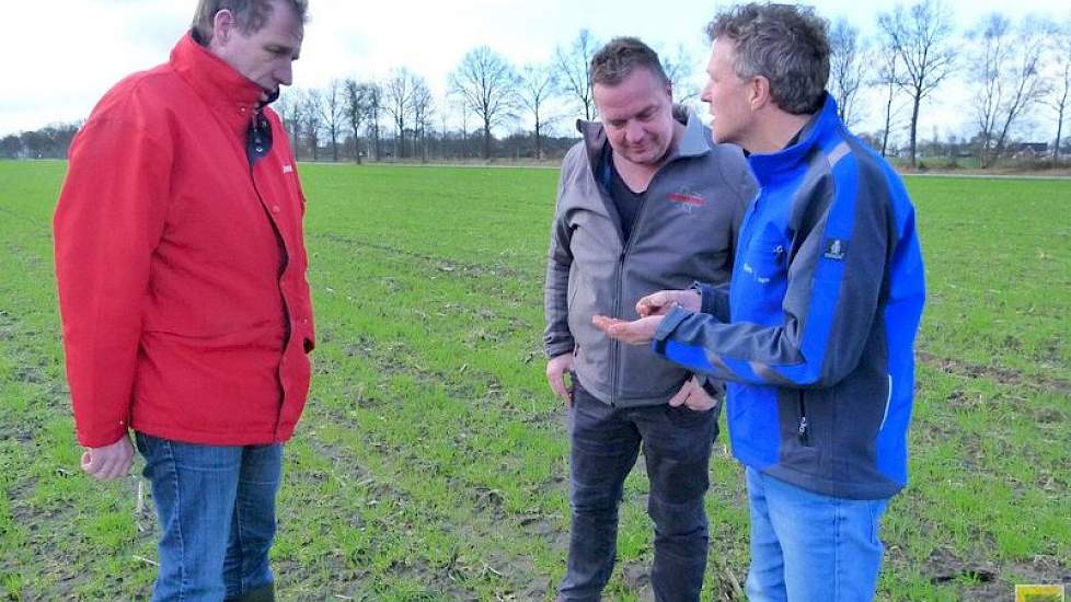 Ondanks het lage aandeel organische stof op de lichte plekken, valt de structuur van de grond Reijneveld niet tegen. „De grond is ook hier homogeen, al is het wat korreliger. Daarnaast kom ik geen grove, onverteerde stukken organische stof tegen. De stalm