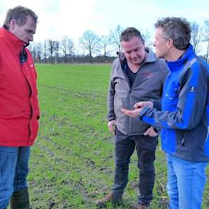 Ondanks het lage aandeel organische stof op de lichte plekken, valt de structuur van de grond Reijneveld niet tegen. „De grond is ook hier homogeen, al is het wat korreliger. Daarnaast kom ik geen grove, onverteerde stukken organische stof tegen. De stalm