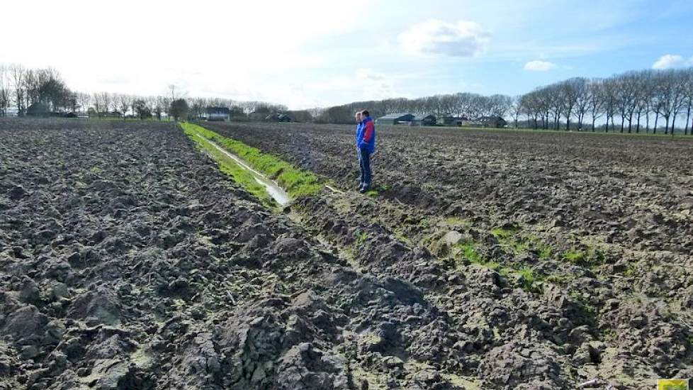 De Kruijf doet er alles aan om het overtollige water zo goed mogelijk af te voeren. Daarom heeft hij halverwege het perceel, waar de grond zwaarder wordt, een diepe greppel gegraven, zodat het water snel weg kan.