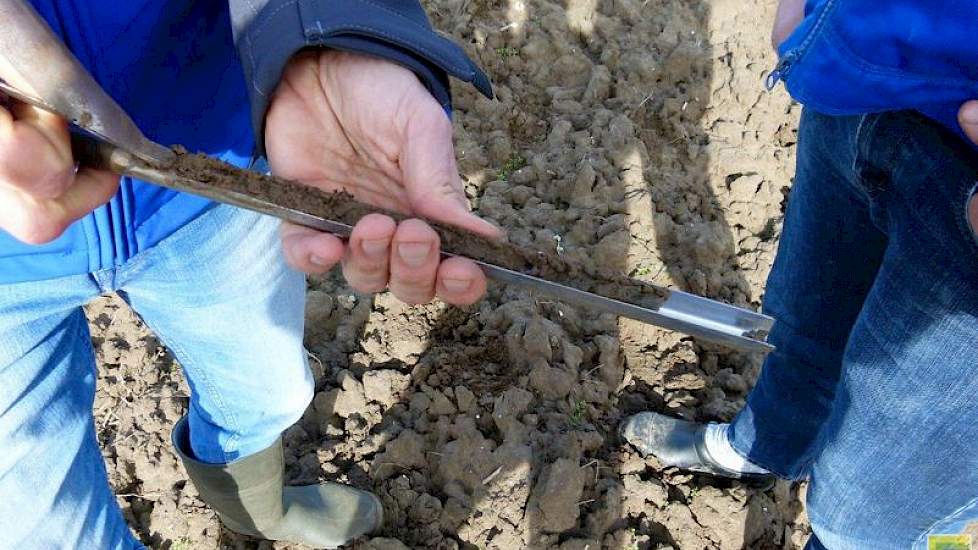 Gewapend met een prikstok, beoordeelt Reijneveld de bodem in de praktijk. De Kruijf heeft de grond in de herfst geploegd en de vorst van afgelopen winter heeft de bodemstructuur goed gedaan. De specialist is dan ook lovend over de mooie luchtige structuur