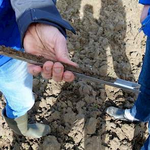 Gewapend met een prikstok, beoordeelt Reijneveld de bodem in de praktijk. De Kruijf heeft de grond in de herfst geploegd en de vorst van afgelopen winter heeft de bodemstructuur goed gedaan. De specialist is dan ook lovend over de mooie luchtige structuur