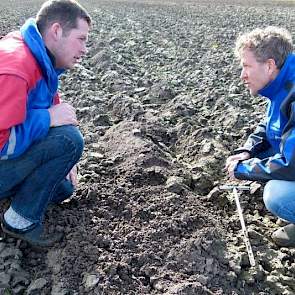 Toch is de bodemspecialist ook niet ontevreden over de bodemstructuur op de zwaardere klei. „De grond valt direct uit elkaar als je er tegenaan schopt. Ook zijn er veel wormen actief. Dat is een goed teken.”