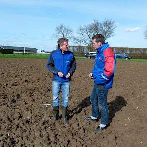 Eén van de grootste uitdagingen op de kleigrond bij de Kruijf in Werkhoven (UT) is het verhogen van het aandeel organische stof. De veehouder teelt namelijk mais in continuteelt, omdat de andere percelen minder geschikt zijn voor mais. De bodemanalyses la