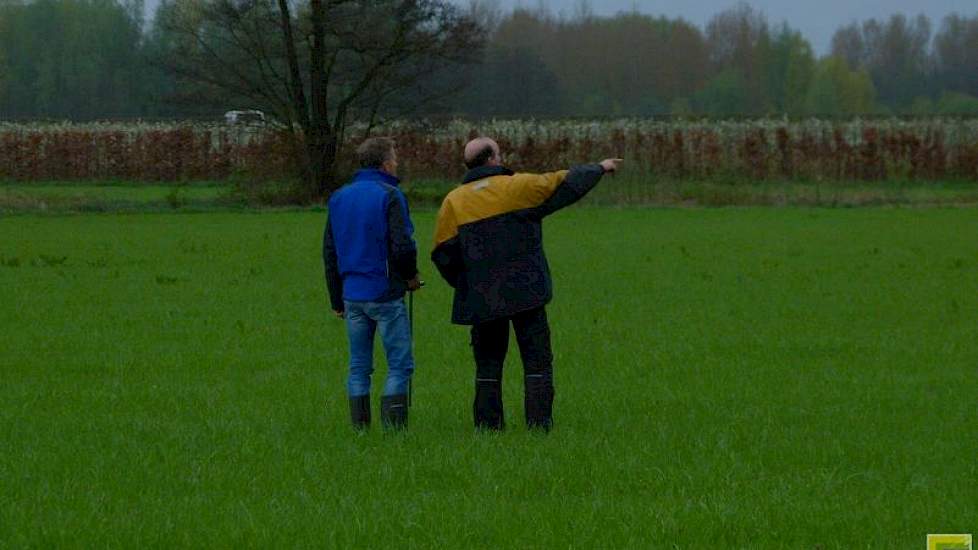 Philipsen teelt zijn maïs op wel 20 verschillende percelen. Doordat de ondernemer ook een akkerbouwtak heeft, rouleert hij regelmatig met de maïs over de verschillende percelen.