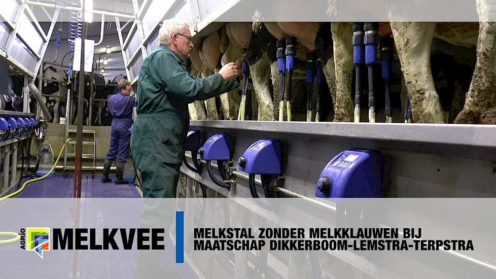 Melkstal zonder melkklauwen bij maatschap Dikkerboom-Lemstra-Terpstra - www.melkvee.nl