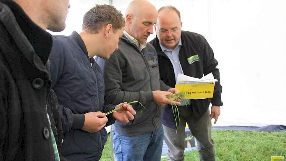 Edward Ensing van Barenbrug liet wederom zien hoe grastypen te herkennen zijn.